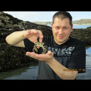 Vladimir Pastircik Profile Picture